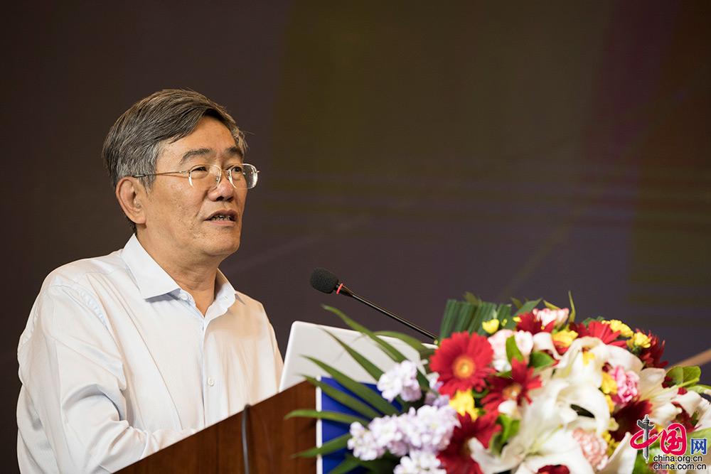 全国政协常委、经济委员会副主任杨伟民发表演讲